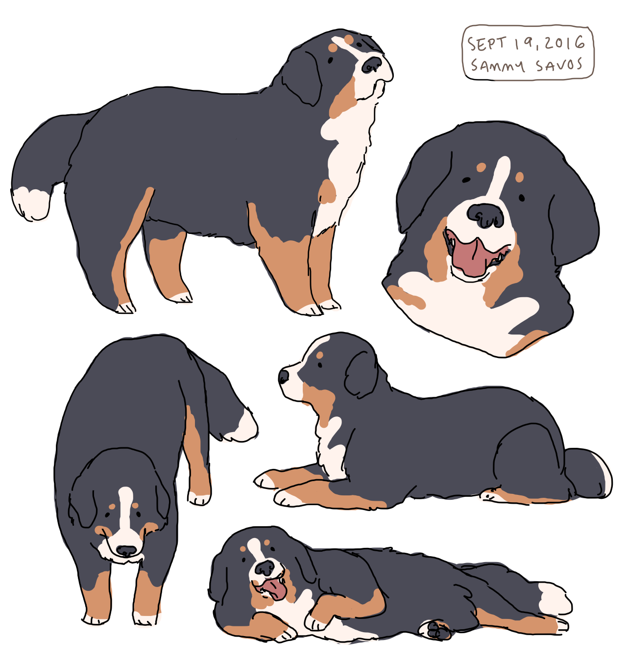 bernese mountain dogs!