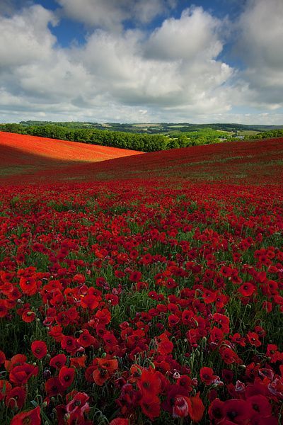 lifeisverybeautiful:Patch of Light - The South Coast of England by Dennis Reddick Photography