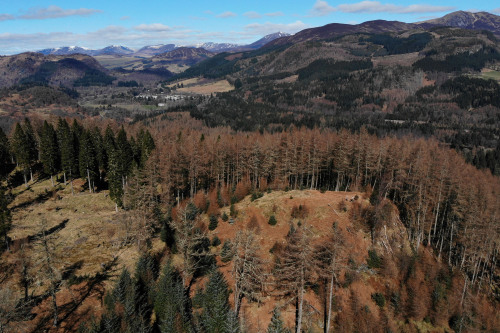 An Dun Hillfort, Pitlochry, Scotland This hillfort (‘an dun’ just means 'the fort’