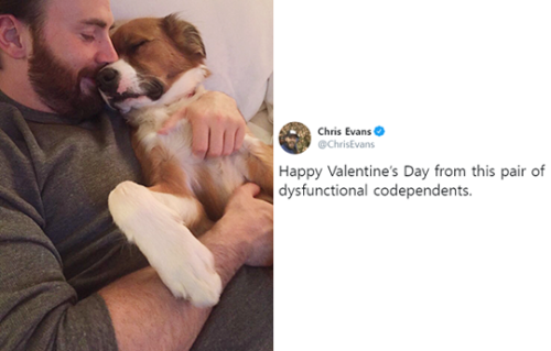 forchrisevans: chris evans and dodger in 2019