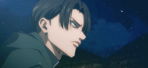Happy Birthday, Levi Ackerman! [Dec. 25]