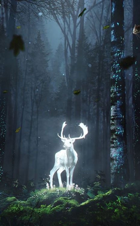 Forest, wild deer, glow, fantasy, art, 950x1534 wallpaper @wallpapersmug : https://ift.tt/2FI4itB - 