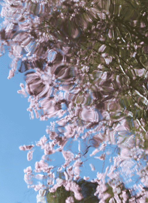 tumblr_omgtbxjgQH1qkprgpo1_500.gifv