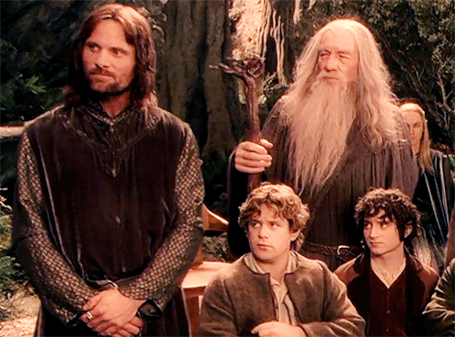 sylarkendrick:The Fellowship of the Ring - 20 Year Anniversary(Released Dec.19, 2001)