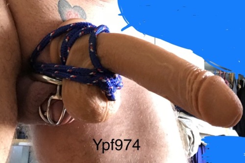 ypf974: 08/04/2018 today Mistress Ariane allowed me to fuck her. but I did not expect that. especial