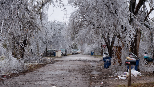 tornadotitans:Photos from the ice storm from this past weekend. All pics are from the El Reno, OK ar