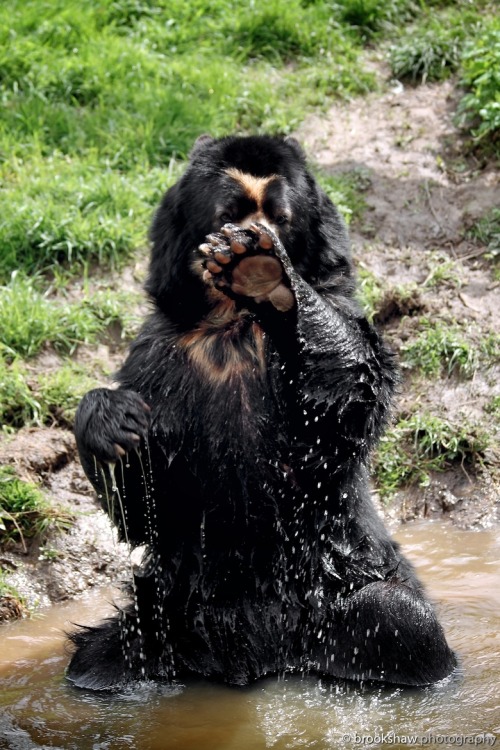 earthandanimals:    “No Pictures Please!”   Photo by Gary Brookshaw            