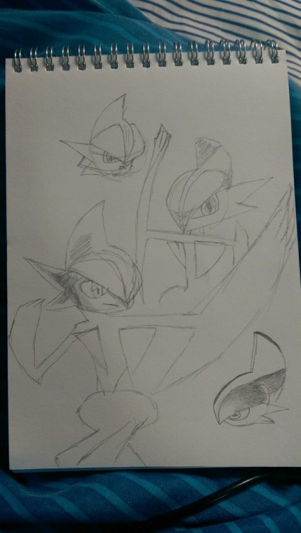 Sketchin’ Gallades
