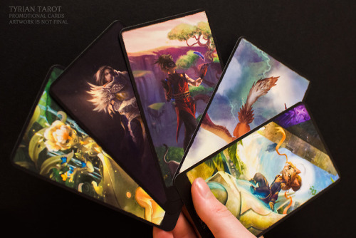 gw2collective: The countdown has begun! Tyrian Tarot’s funding campaign goes live in one week.