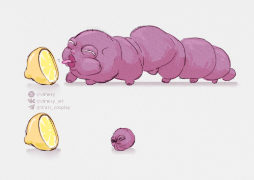 Lemon 🍋🐛
