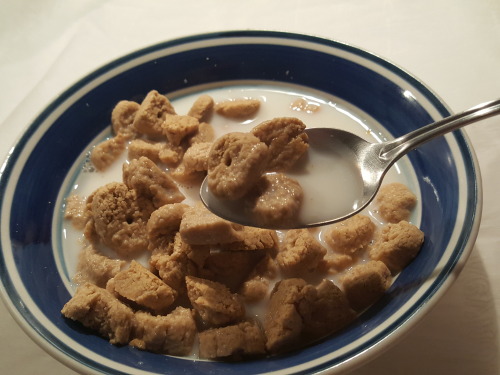 Just Crunch Cereal Bowl: Avoid Soggy Cereal