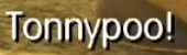 heavenxsoul: Me: Idk this World of Final Fantasy game looks like a fan-fiction made into a game. Square Enix:  Me:  