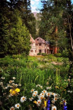 bluepueblo:  Forest House, Lake Tahoe, California