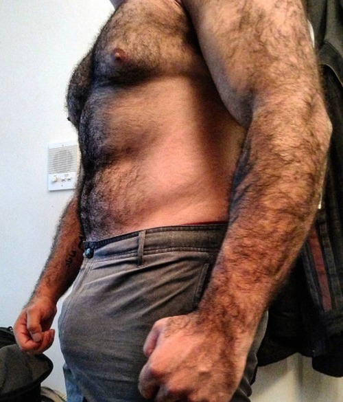 hairytreasurechests: If you also like hairy and older men who are well hung and hang well please vis