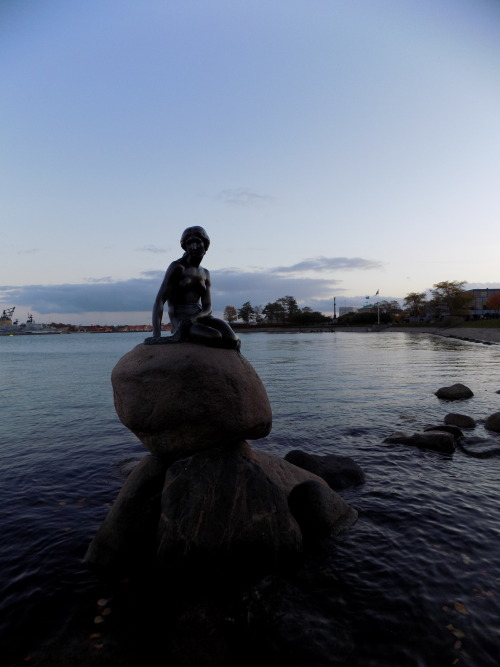 travelworldaddicted:  Little Mermaid, Copenhagen October 2015 Photo by me 