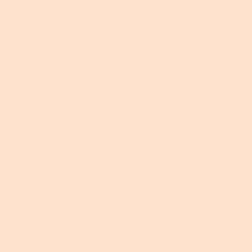 ahika:  Classic white peach  palette: (#ffe2cd)  +