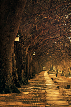 plasmatics:  Ponte de Lima - Portugal by Luis Valadares (Website) 