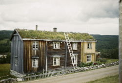 furtho:Fredrik Bruno’s photograph of wooden houses, Gauldalen Valley, Norway, 1948 (via wikimedia)