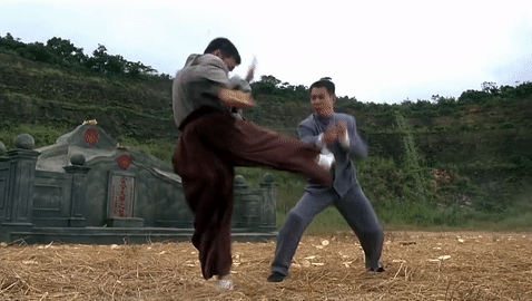 Fist Of Legend (1994)