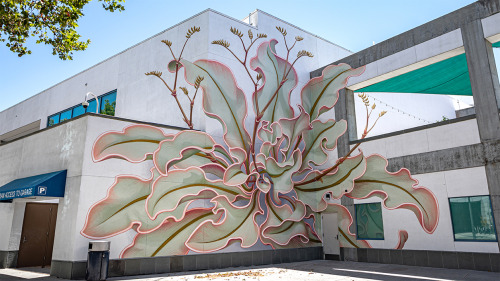 itscolossal:A Massive Flower Splays Across Six Surfaces in a New Mural by Artist Mona Caron