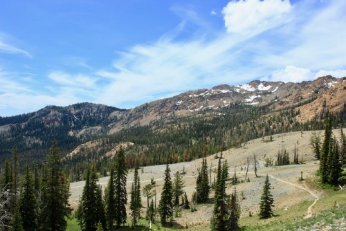 burningmine:Navaho Peak, June 2019