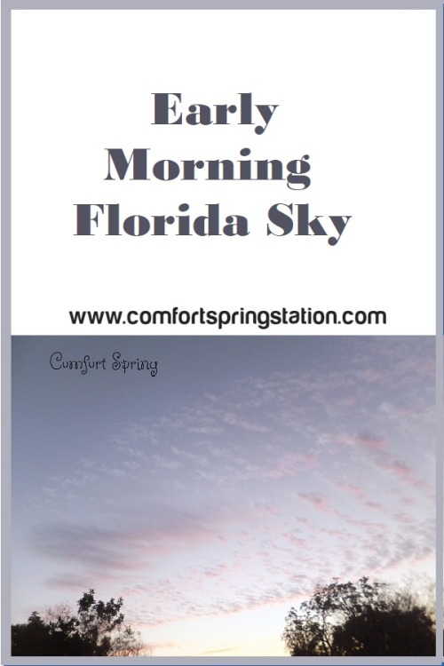 Early Morning Florida Sky