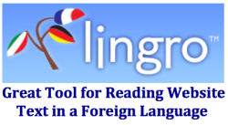 callahaan:  lingro was conceived in August 2005, when Artur decided to practice his Spanish by reading Harry Potter y la piedra filosofal. As a competent but non-expert speaker, he found that looking up new vocabulary took much more time than the reading