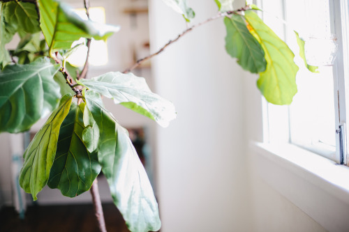 graceinchrist:  Talitha Photography.