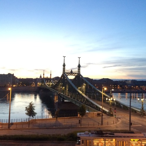 allthingseurope - Liberty Bridge, Budapest, Hungary (by Annie...