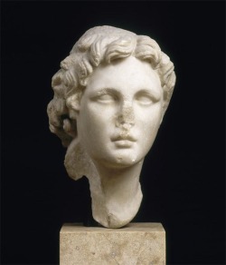v-ersacrum:  Head of Alexander the Great,