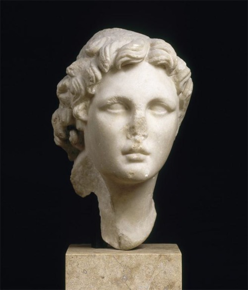v-ersacrum:Head of Alexander the Great, known as Alexandre Guimet, c.300 b.c.
