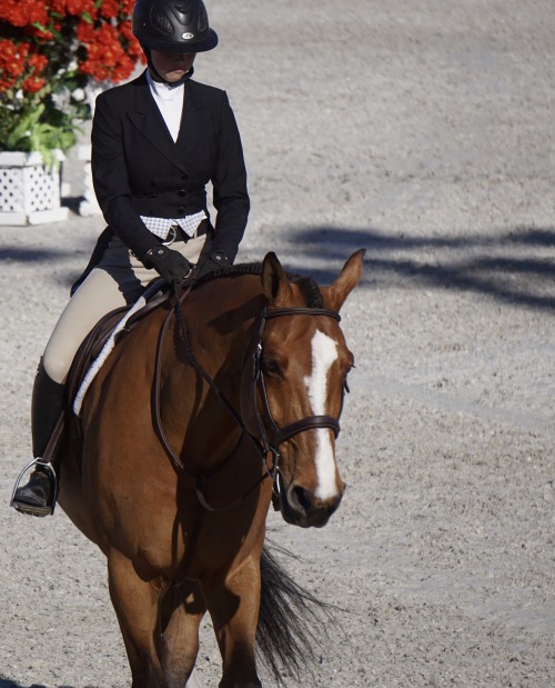 riders-block-photography: $100,000 International Hunter Derby Ocala, FL 2016