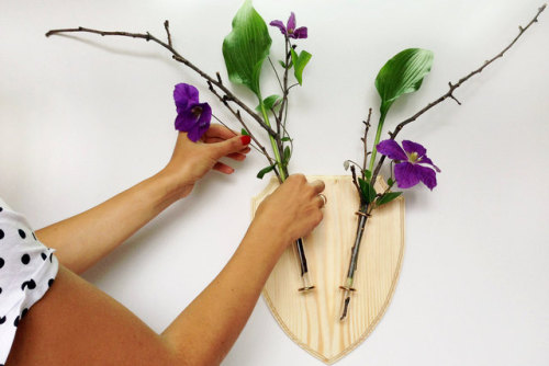 Porn Pics sosuperawesome: Wall Vases by Eco Deer on