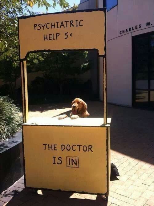 ultracutepets:  #1 cure for a rough day. 