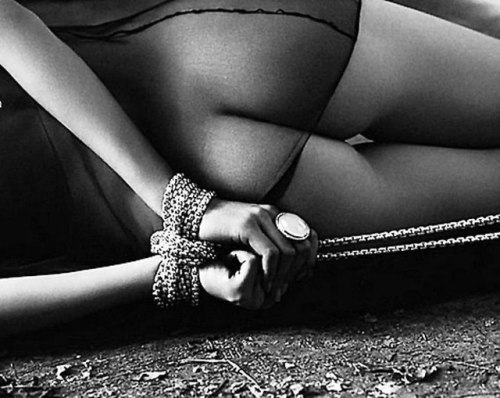 Art of Shibari