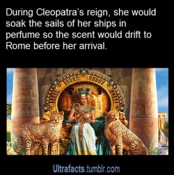 blackfeminism:  [image reads]: During Cleopatra’s