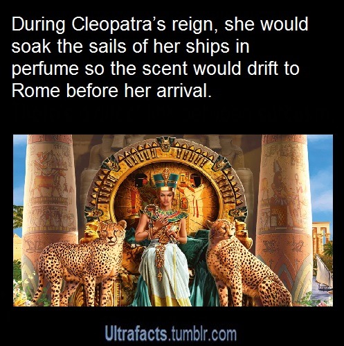 XXX blackfeminism:  [image reads]: During Cleopatra’s photo