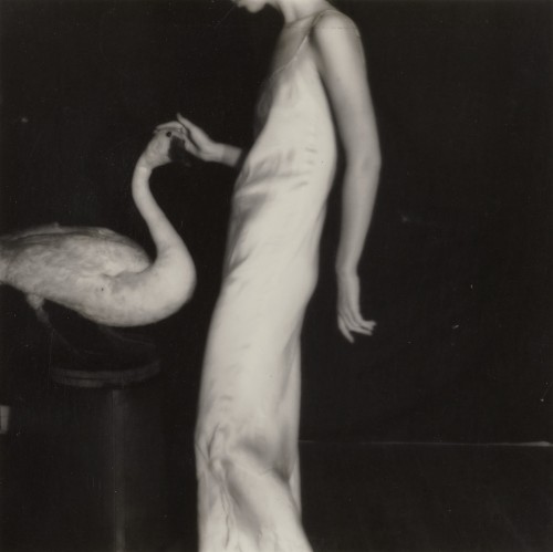 disease:  “LUCY WITH GOOSE”FRANCESCA WOODMAN // 1977[gelatin silver print | 5 3/8 x 5 3/8″]