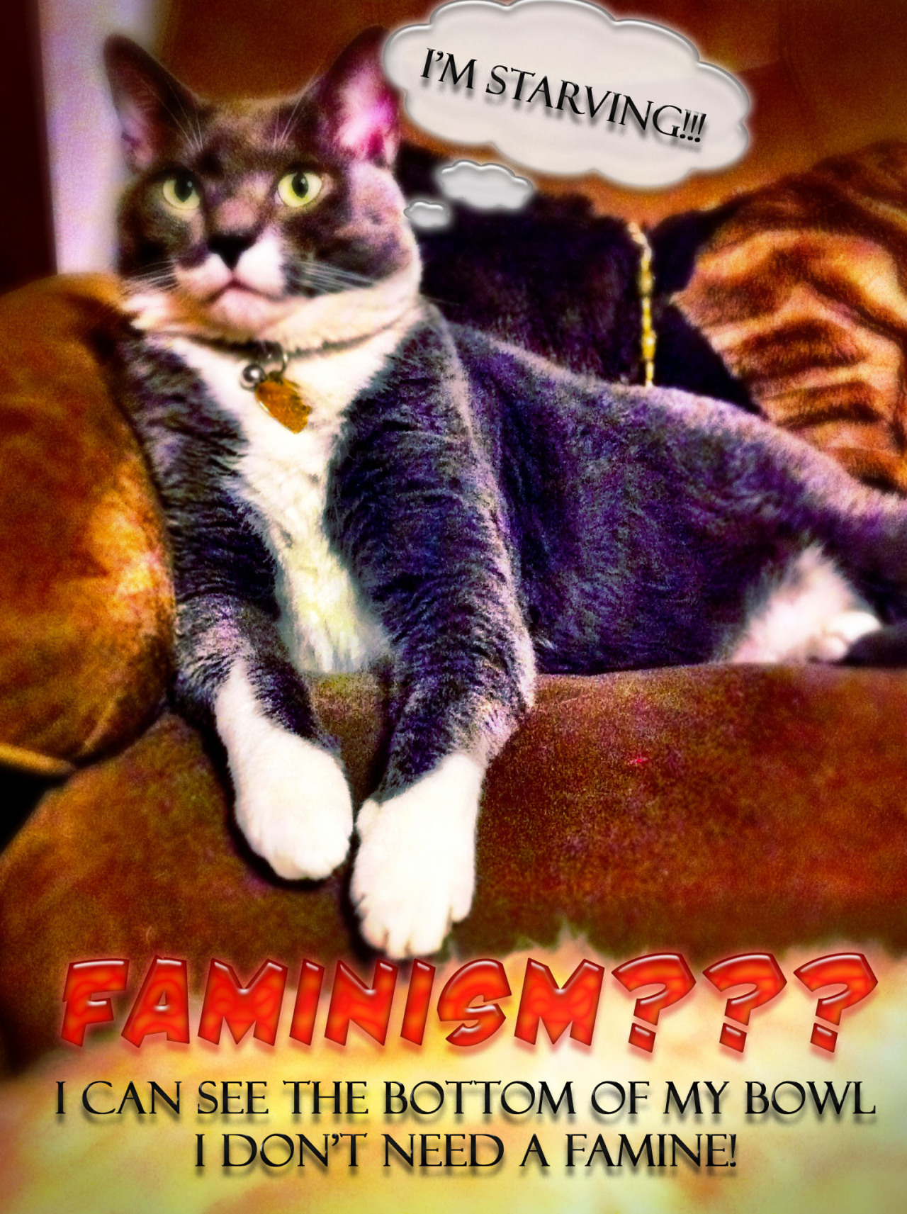 Reader submission. Confused Cats Against Feminism is brought to you by We Hunted the Mammoth, and by YOUR KITTIES. Submit!  And buy crap at the Confused Cats Store! It’s for charity!