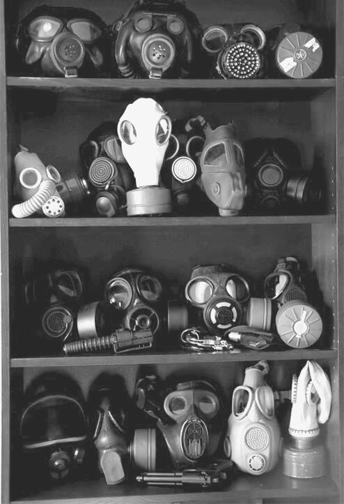 A very nice collection of gasmask! I got 3 in my little &ldquo;collection&rdquo;.