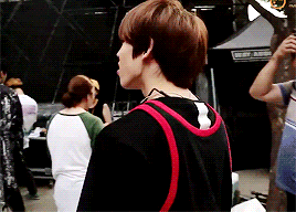 Yibo Please