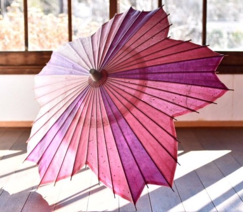Sakura wagasa, a traditional Japanese umbrella hand made by the specialist Kasabiyori