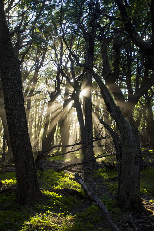 mistymorningme:Patagonian Mornings by TuckerPrescott