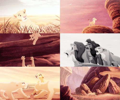 taurielsilvan:  the lion king II + kiara for lena  &ldquo;A wise king once told