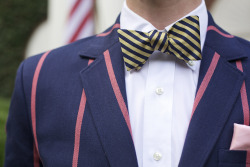 properkidproblems:  Brooks Brothers bow tie.