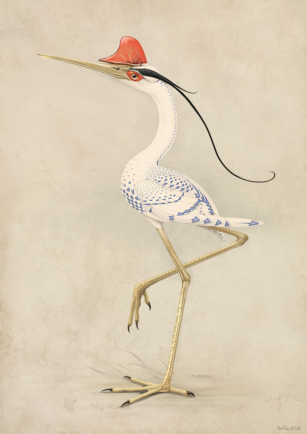 nokknokk:   Imaginary Ornithology is a sound artwork at Burrinja Cultural Centre where