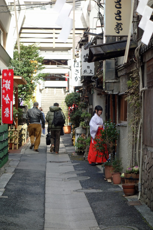 ninetail-fox:  a shrine maiden ,Shinbashi 