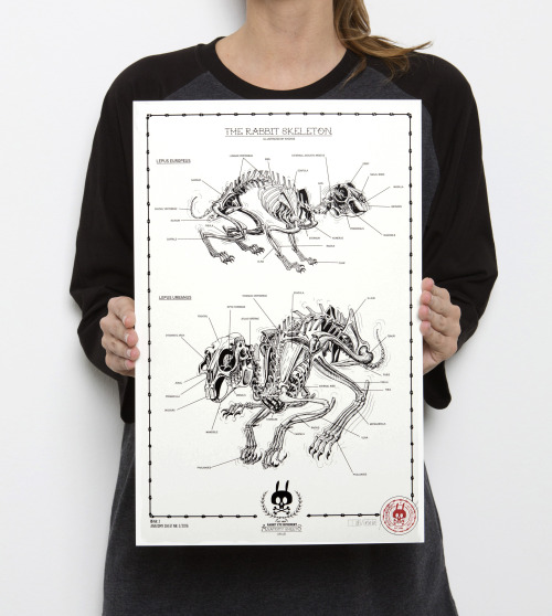 OUT NOW!!THE RABBIT SKELETON - ANATOMY SHEET NO 21-color Screen Print on 300 g/m² Munken Pure PaperS