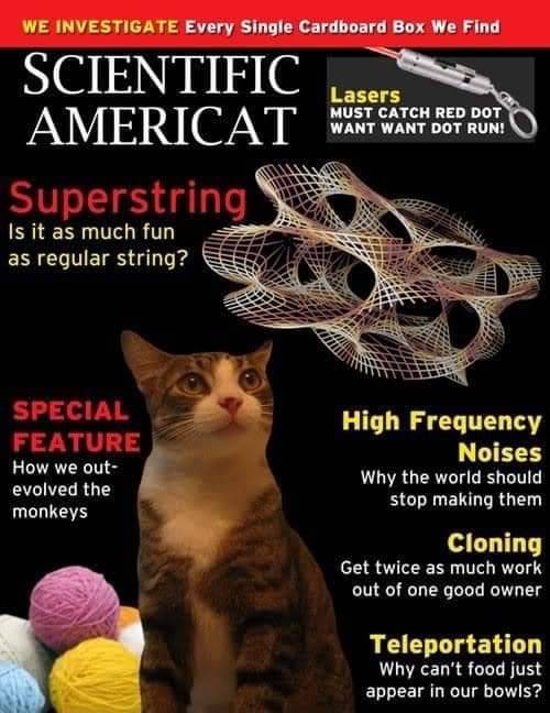https://64.media.tumblr.com/3ee3bfe60939a30382bd824b598e6c36/f7b79f02854d14f3-c3/s640x960/c4ba2ced1157d413933c8aedcf574afcd9a4975e.jpg