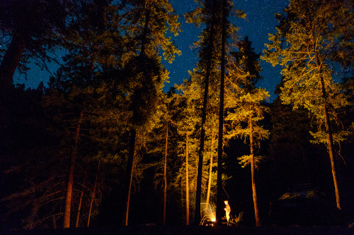 nevernotoutside - Campfires under the stars back in the spring.